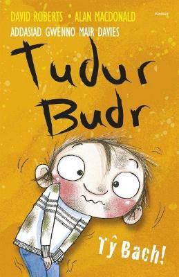 Book cover for Tudur Budr: Tŷ Bach