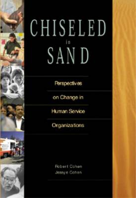 Book cover for Chiseled in Sand : Perspectives on Change in Human Service Organizations