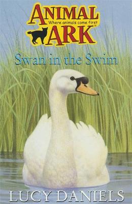 Book cover for Swan In The Swim