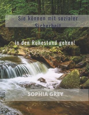 Book cover for Sie können mit sozialer Sicherheit in den Ruhestand gehen!