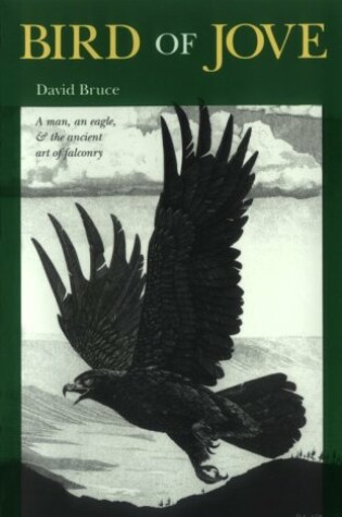 Cover of Bird of Jove