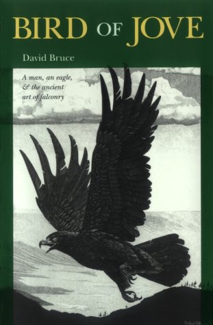 Book cover for Bird of Jove