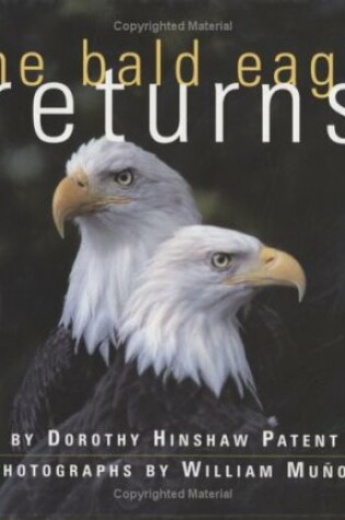 Cover of Bald Eagle Returns