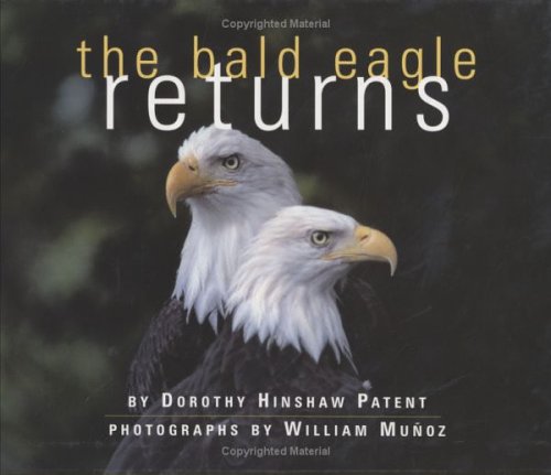 Book cover for Bald Eagle Returns