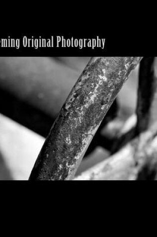 Cover of Joseph Fleming Original Photography
