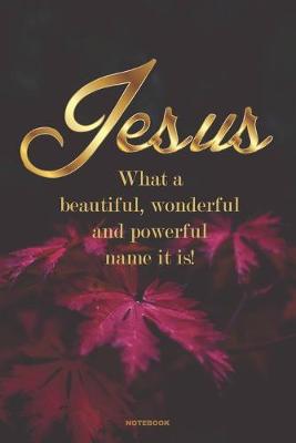 Book cover for JESUS What a beautiful, wonderful and powerful name it is!