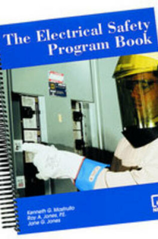 Cover of The Electrical Safety Program Book