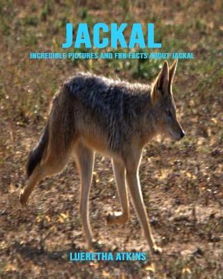 Book cover for Jackal