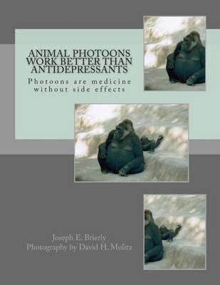 Book cover for Animal Photoons Work Better Than Antidepressants