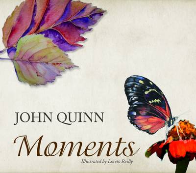 Moments by John Quinn, Stanislaus Kennedy, Loreto Reilly