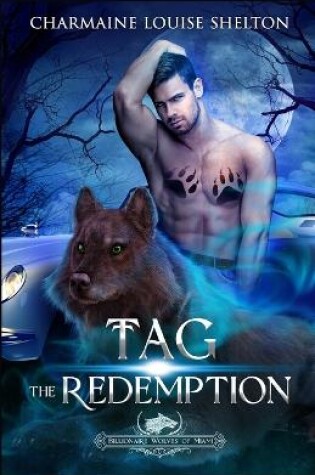 Cover of Tag The Redemption