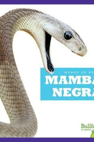 Cover of Mambas Negras (Black Mambas)