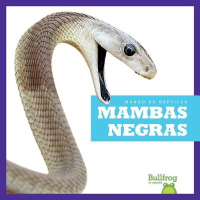 Cover of Mambas Negras (Black Mambas)