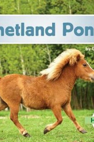 Cover of Shetland Ponies