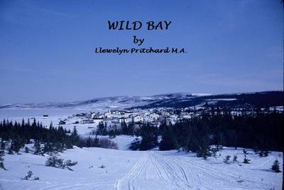 Book cover for Wild Bay: All is Not as it Seems to Be!!!