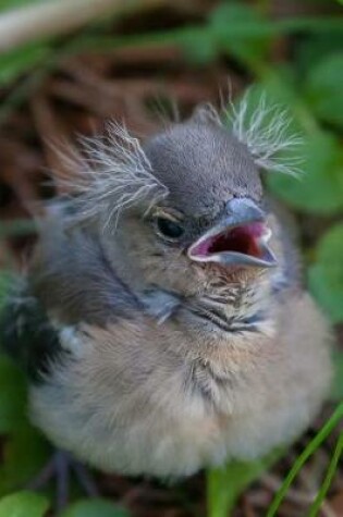 Cover of Cute Grumpy Baby Chaffinch Bird Journal