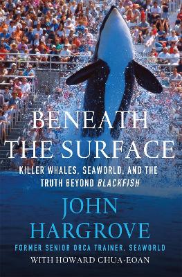 Book cover for Beneath the Surface