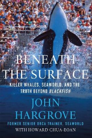 Cover of Beneath the Surface