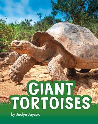 Cover of Giant Tortoises
