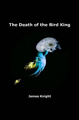Book cover for The Death of the Bird King