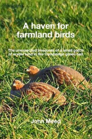 Cover of A haven for farmland birds