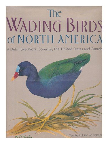 Book cover for Wading Birds of North America