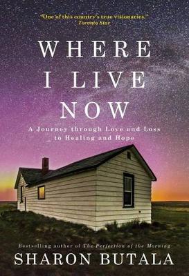 Book cover for Where I Live Now