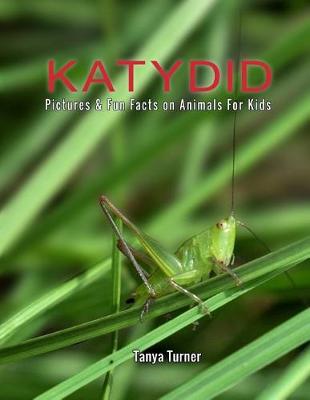 Book cover for Katydid