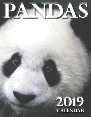 Book cover for Pandas 2019 Calendar