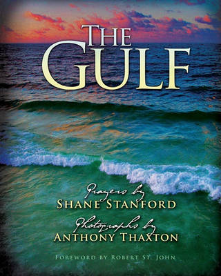 Book cover for The Gulf