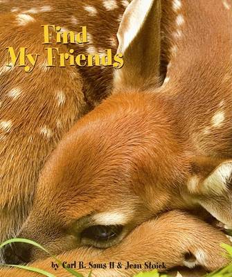 Book cover for Find My Friends