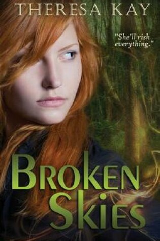 Cover of Broken Skies