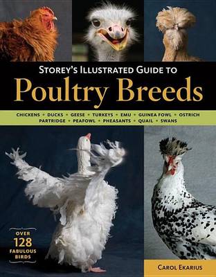 Book cover for Storey's Illustrated Guide to Poultry Breeds