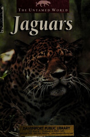 Cover of Jaguars