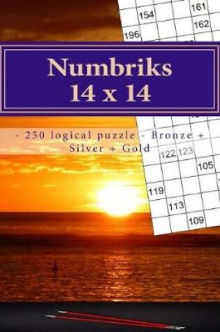 Cover of Numbriks 14 X 14 - 250 Logical Puzzle - Bronze + Silver + Gold