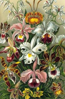 Book cover for Orchids in Art Ernst Haeckel Orchidae