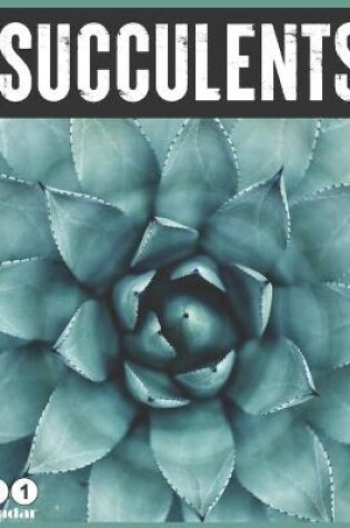 Cover of Succulents 2021 Wall Calendar