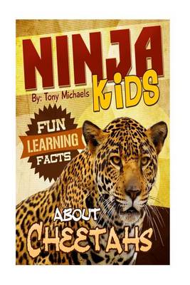 Book cover for Fun Learning Facts about Cheetahs