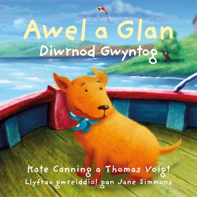 Cover of Diwrnod Gwyntog