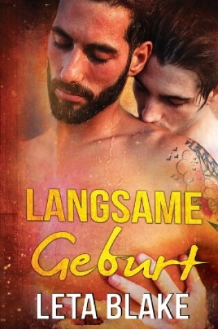 Cover of Langsame Geburt