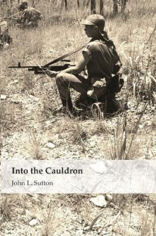 Cover of Into the Cauldron