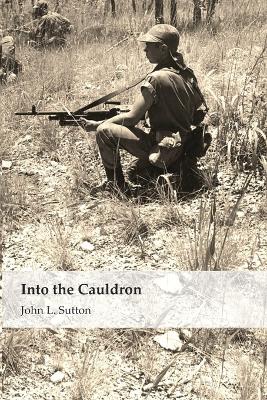 Book cover for Into the Cauldron