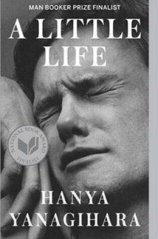 Cover of Little Life