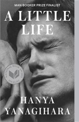 Book cover for Little Life
