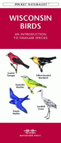 Book cover for Wisconsin Birds