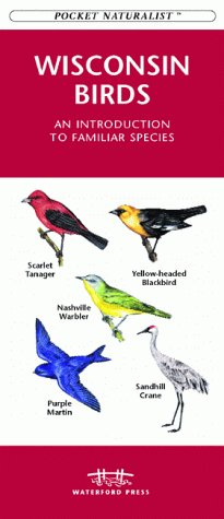 Cover of Wisconsin Birds