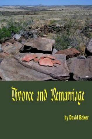 Cover of Divorce and Remarriage