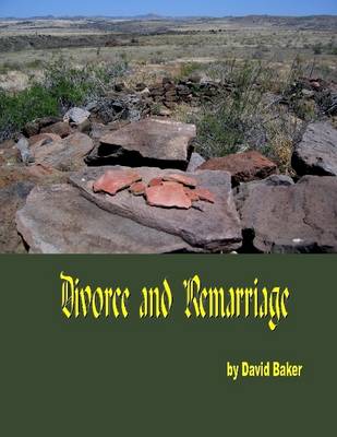 Book cover for Divorce and Remarriage