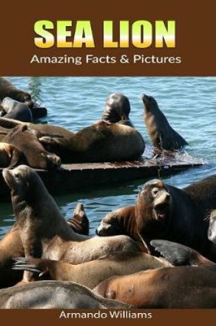 Cover of Sea Lion