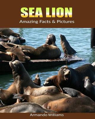 Book cover for Sea Lion